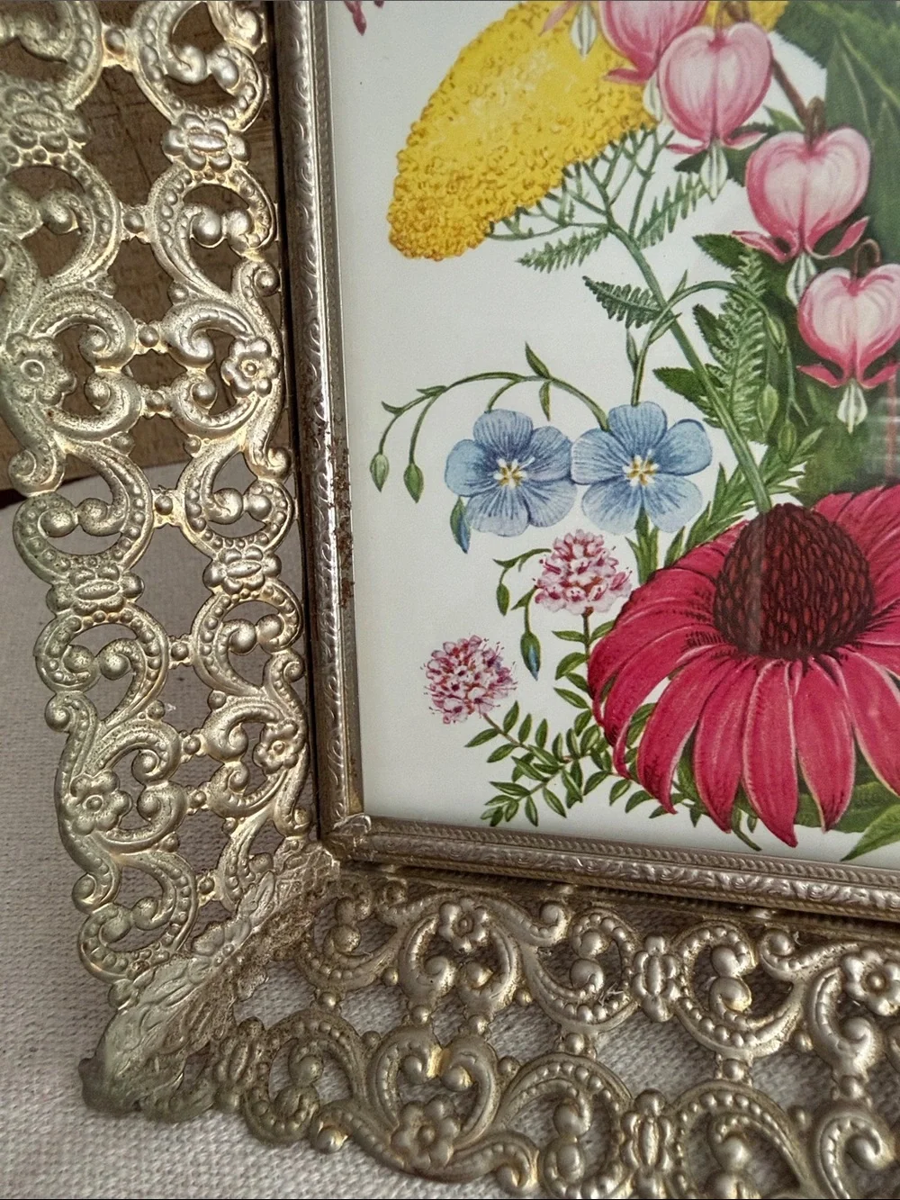 Vintage Brass Toned Filigree Frame with a Botanical Print